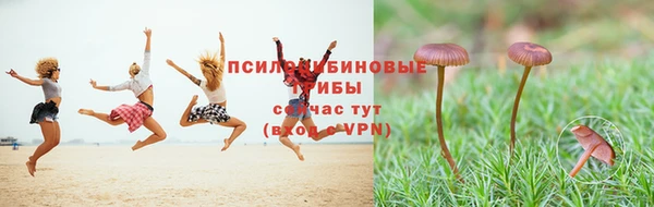 ECSTASY Магас