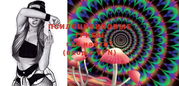 ECSTASY Магас