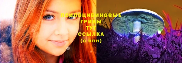 мяу мяу мука Кодинск