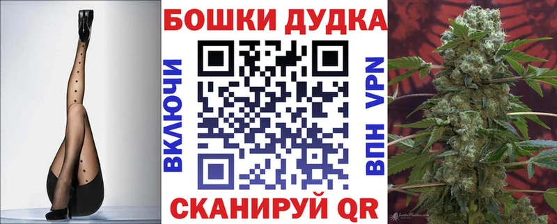 Бошки марихуана план  площадка телеграм  Сясьстрой  как найти  